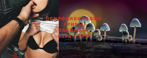 2c-b Алзамай